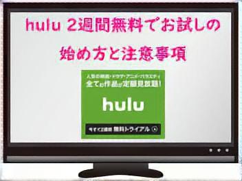 Hulu2週間無料でお試しの始め方と注意事項